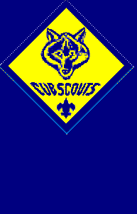 the cub scout patch