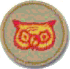 yes, it's my owl WoodBadge patrol